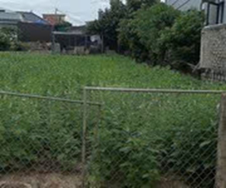 ĐẤT ĐẸP – GIÁ TỐT – CHÍNH CHỦ CẦN BÁN ĐẤT TẠI Xã Nghi Xá, Huyện Nghi Lộc, Tỉnh Nghệ An