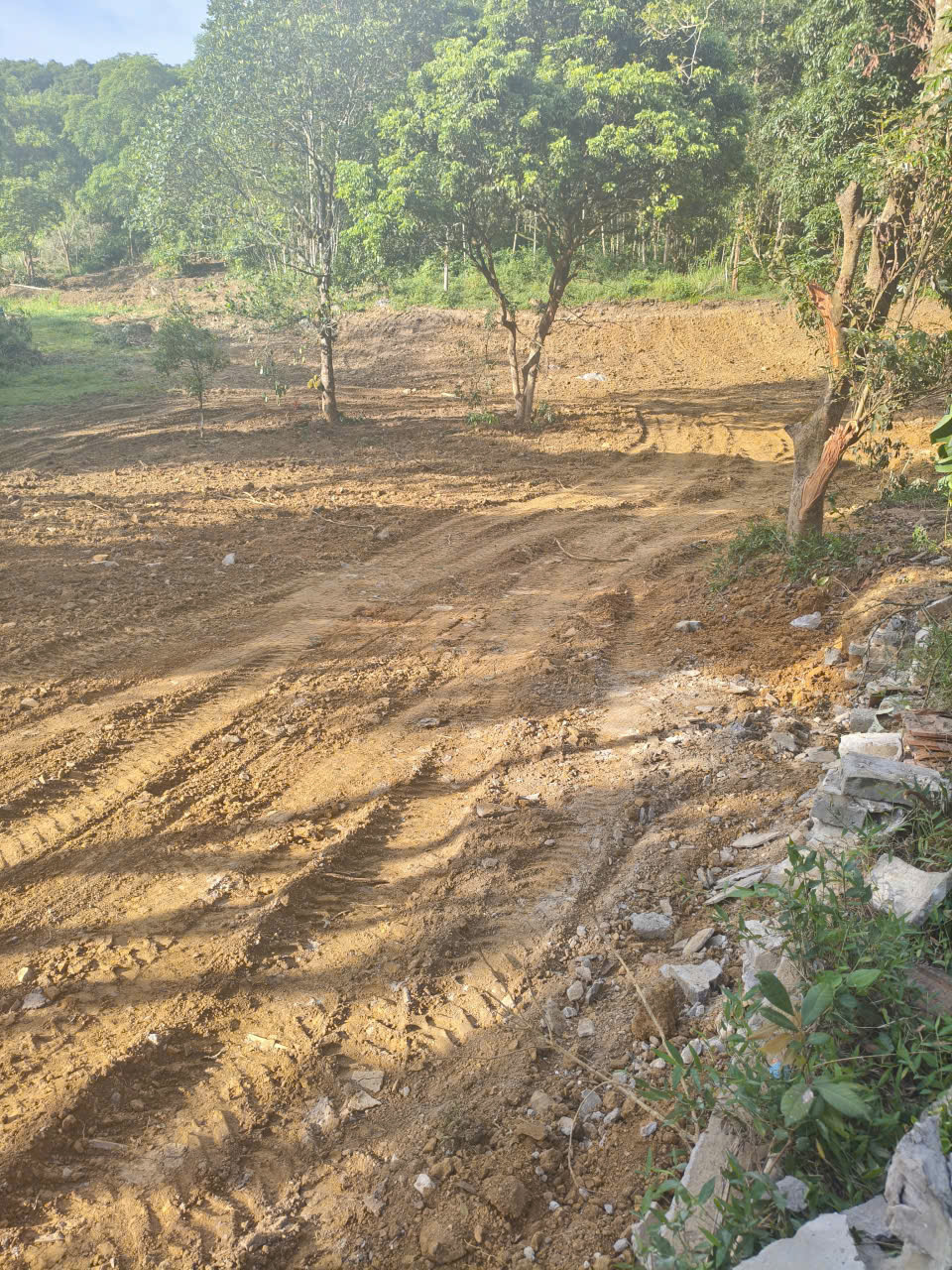 BÁN ĐẤT KHU DU LỊCH QUÈN THỜ – TAM ĐIỆP, NINH BÌNH
