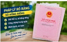 Bán Gấp! Đất 1.62ha Hồ Văn Tắng, Tân Phú Trung, Củ Chi. Đầu tư sinh lời 113 tỷ