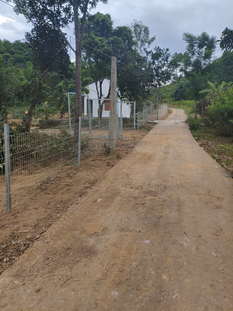 BÁN ĐẤT KHU DU LỊCH QUÈN THỜ – TAM ĐIỆP, NINH BÌNH