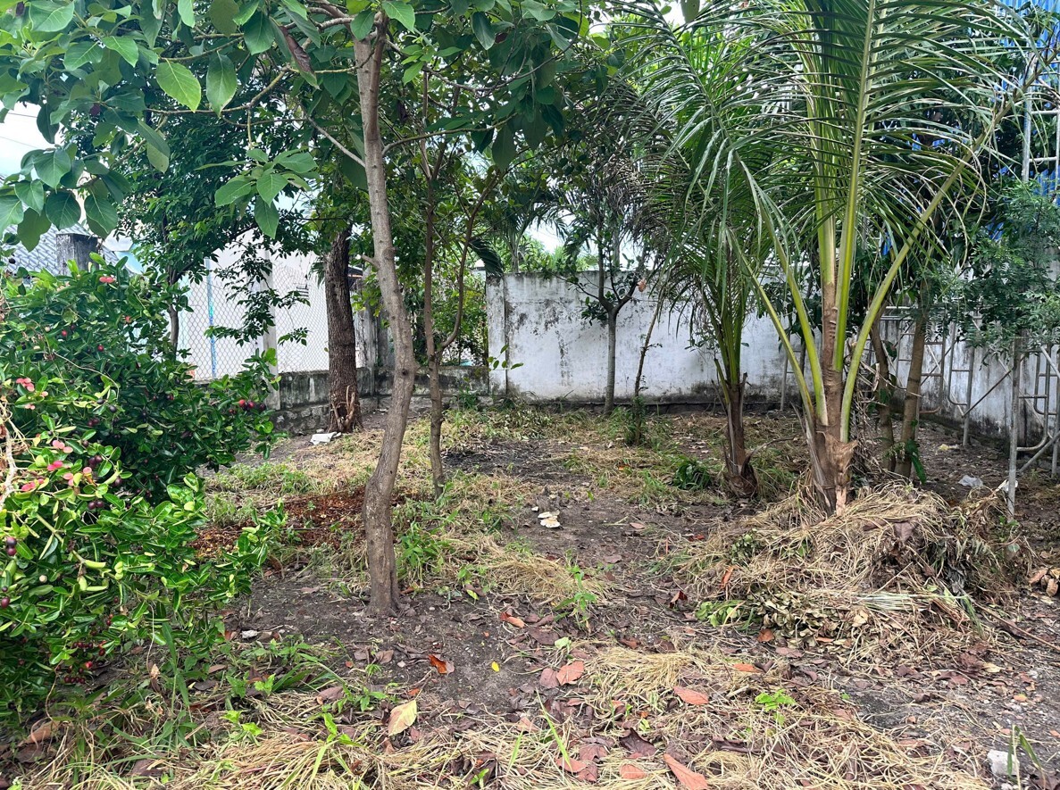 Chính chủ bán đất Long Điền - 131,4m2, chiều dài mặt tiền 13,7m, gần chợ An Ngãi, sát khu hành