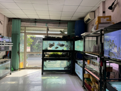 [D2896] Nhà MT KD cạnh BV Hoàn Mỹ Thủ Đức, 5.x tỷ