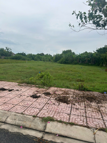Bán 1226m2 đất thổ cư Đường Nguyễn Du, Phước Hội, LaGi giá rẻ gần biển